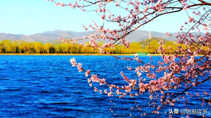 忆江南白居易小学75首必背古诗,古诗忆江南唐白居易诵读视频