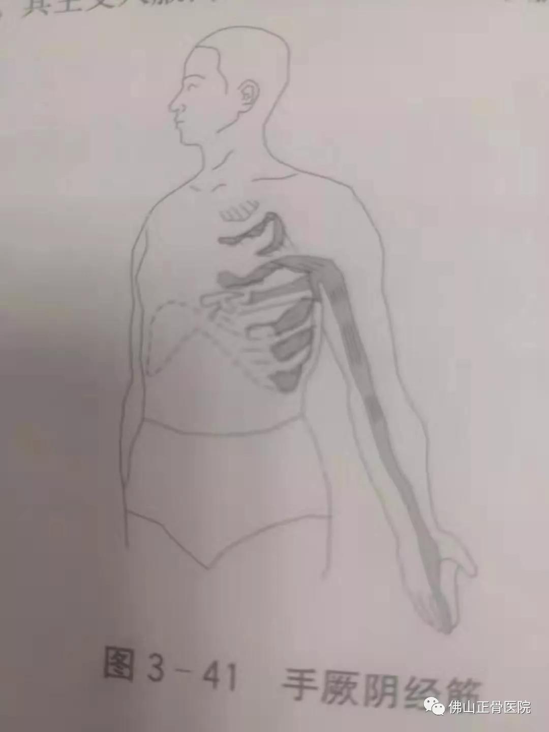 经筋手法，我院名誉院长国医大师韦贵康《韦氏骨伤手法集成》