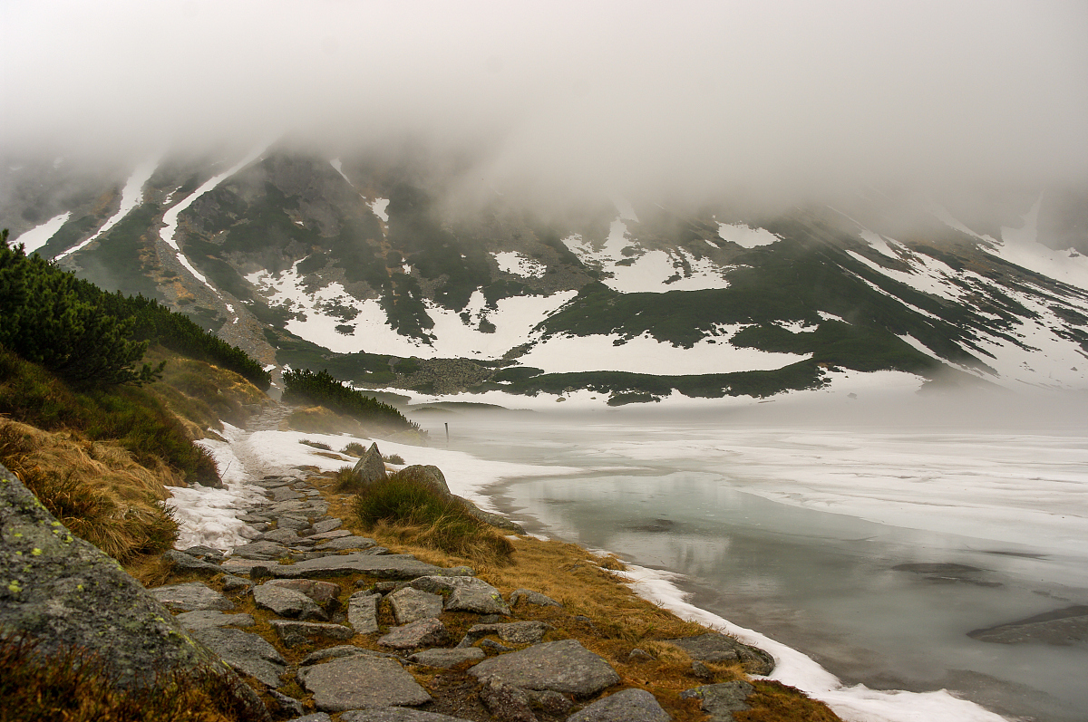 投资市场上的稀有物种：坚守期货24年的欣叔