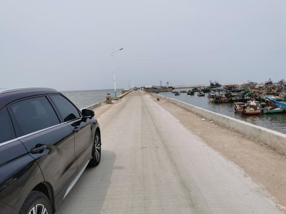 廉江龙营钓鱼视频,湛江市遂溪草潭码头钓鱼视频