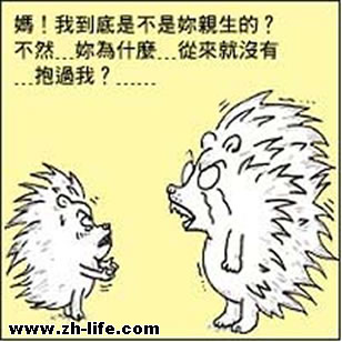 无论你想做什么都请三思,不管你在干什么都要坚持下去