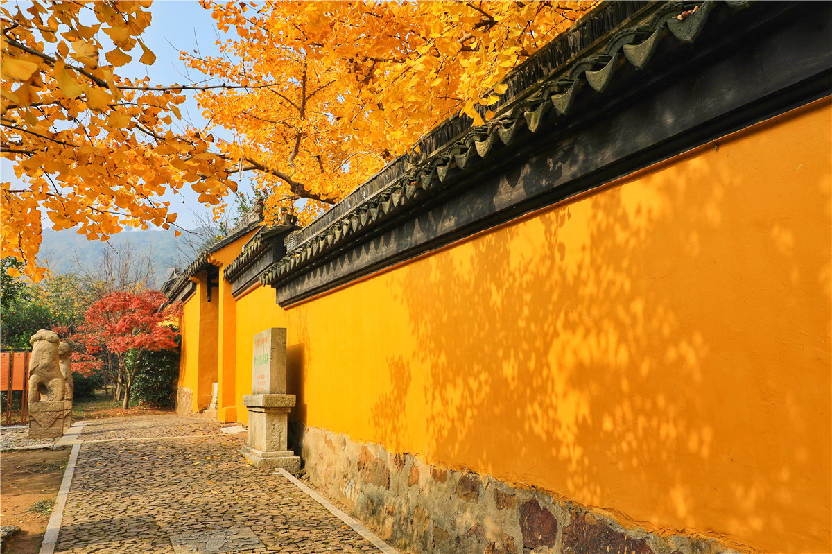 秋天苏州游玩,苏州旅游攻略秋天