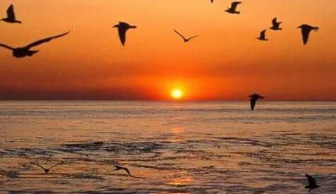 微山湖剿匪记录,微山湖剿匪记完整视频