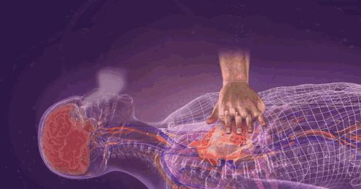 双人cpr心肺复苏术ppt,cpr心肺复苏标准操作流程