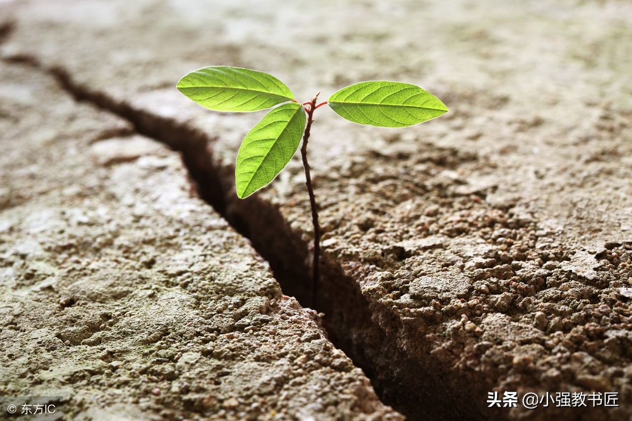 2018上半年教资优秀作文,2019年教资作文怎么写