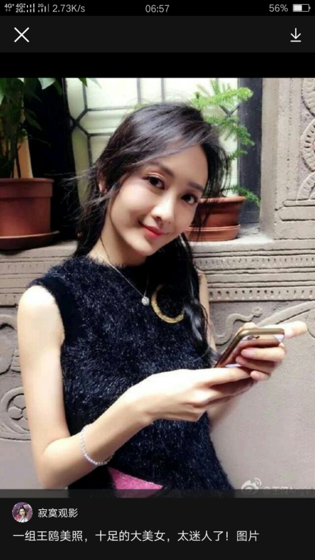 王鸥是谁,王鸥究竟是个怎样的人