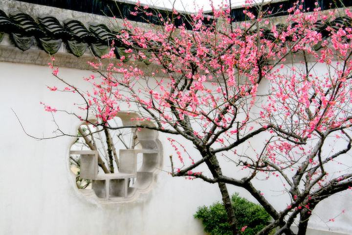 李白作为诗仙为啥不是唐宋八大家,李白为什么没有被列入唐宋八大家