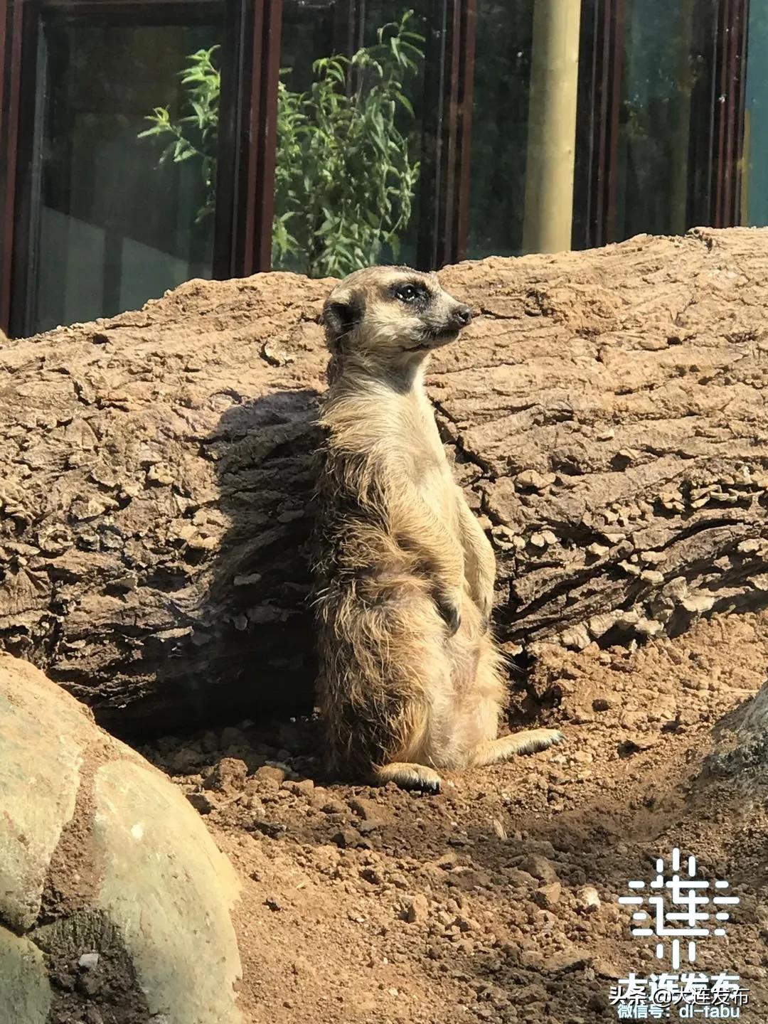大连地区中秋出游攻略,大连中秋节旅行攻略