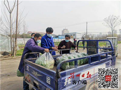 生鲜农产品基地社区直供模式,农业产地直供运营模式