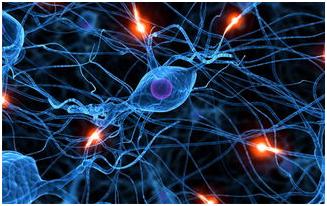 维生素d促进卵泡发育吗,生长发育期缺乏维生素d的影响