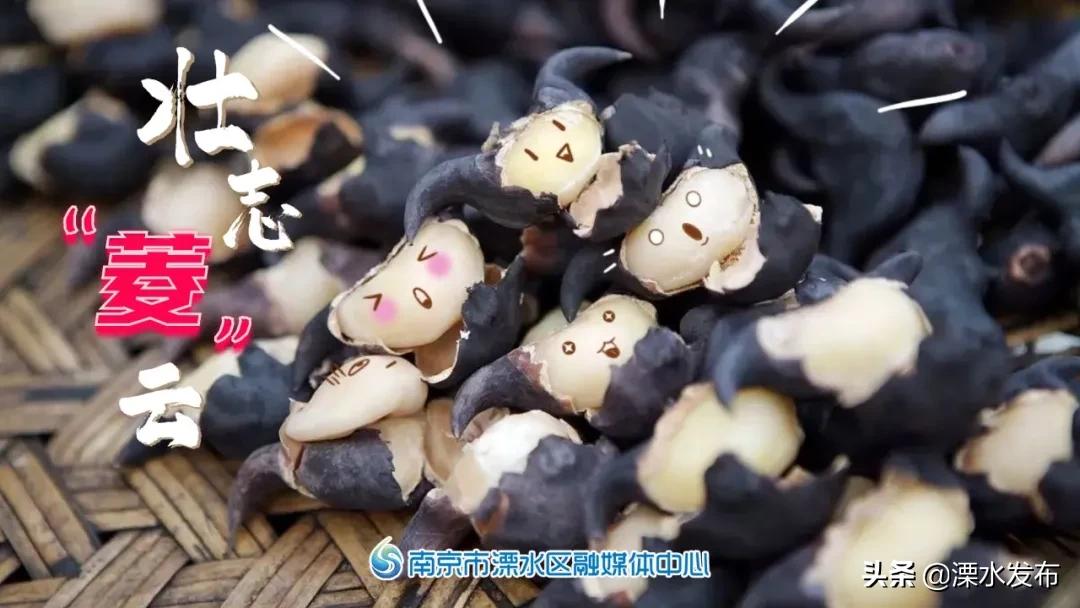 南京溧水:本土美食“啦啦队”正式出道!