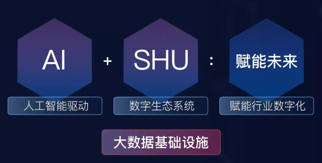 为数而生,爱数的变与不变