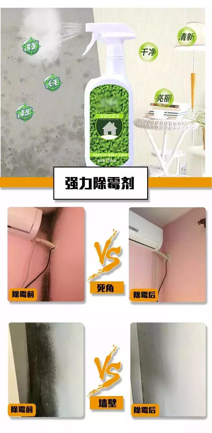 「服务」回南天如何让讨厌的霉菌滚蛋？小卡君教你一招