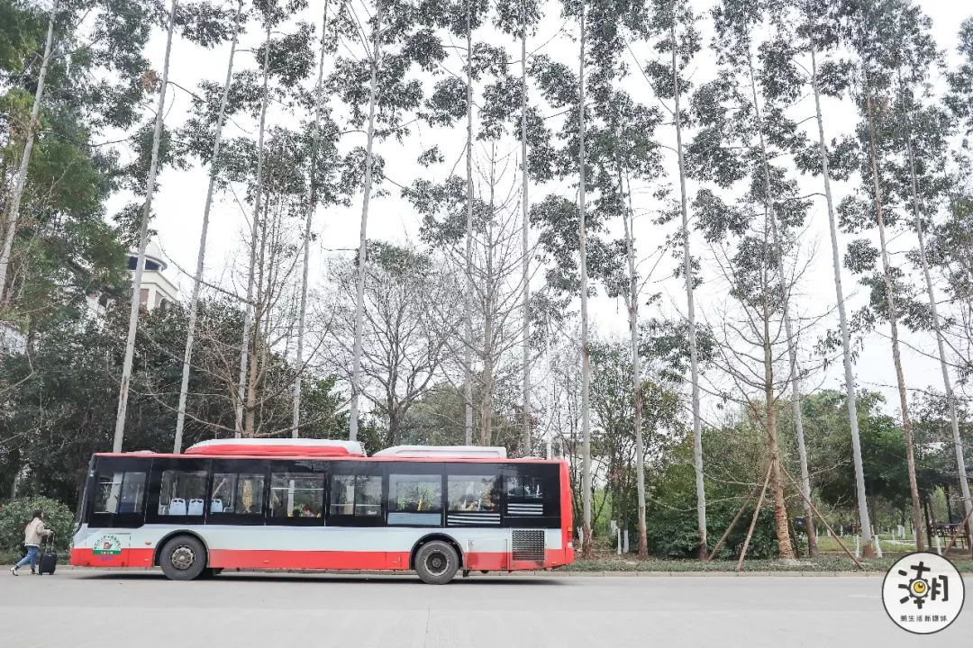 閿﹀煄鐨囧璐垫棌瀛﹂櫌,鎴愰兘閿﹀煄璐垫棌瀛﹂櫌