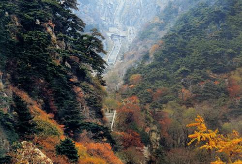 山东最美自驾游最佳路线,山东自驾十天游亲子游攻略