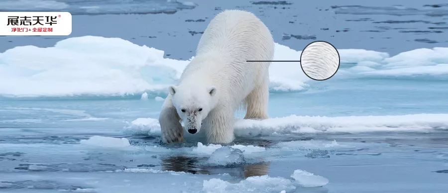 展志天华木门有刺激性气味,展志天华和tata木门哪个门好