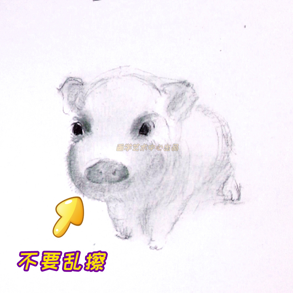 简单小猪绘画教程,用数字勾画出可爱的小猪
