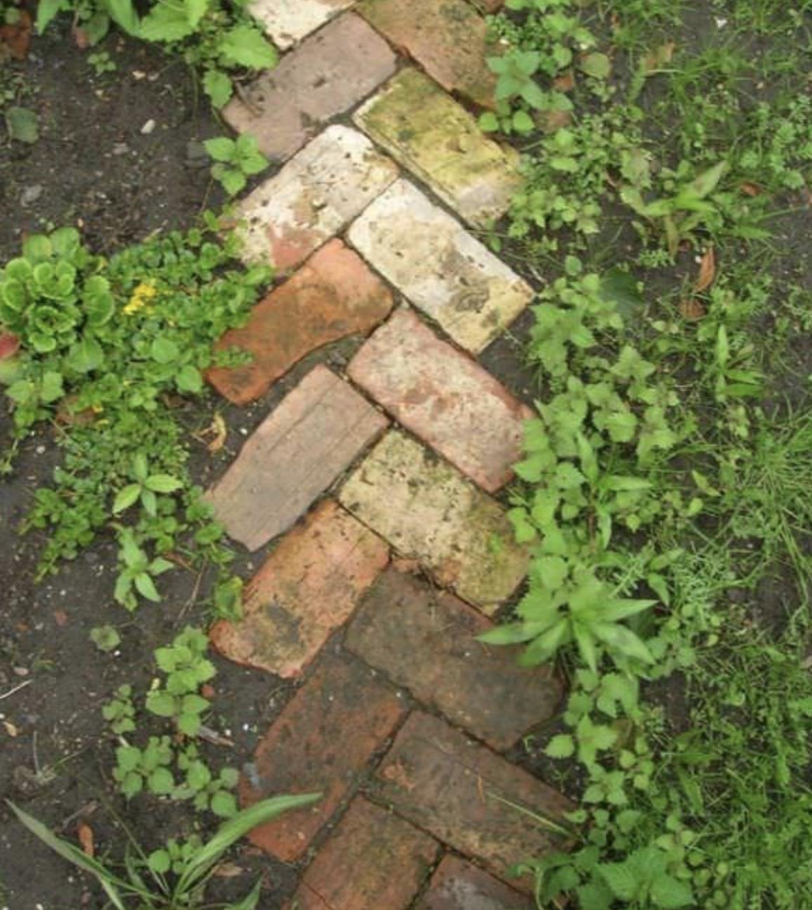 酒瓶装饰院子,空酒瓶如何用来摆设