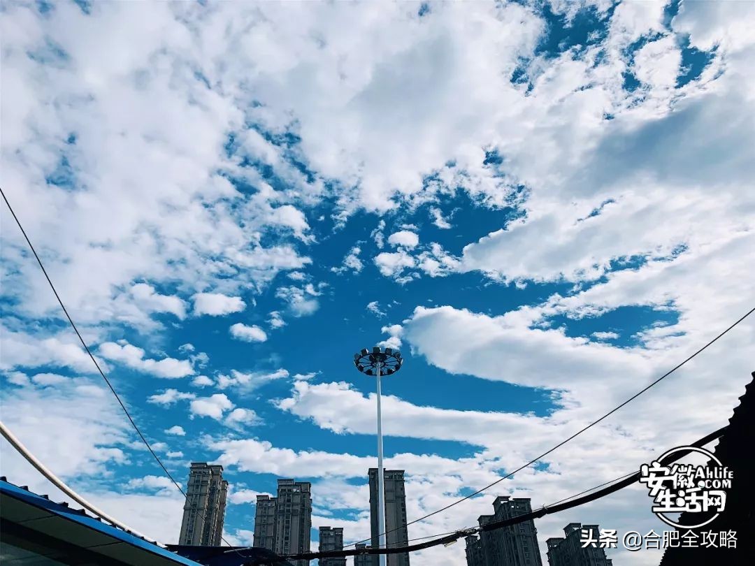 “合肥蓝”频频刷屏朋友圈！背后竟隐藏一个国家级团队...