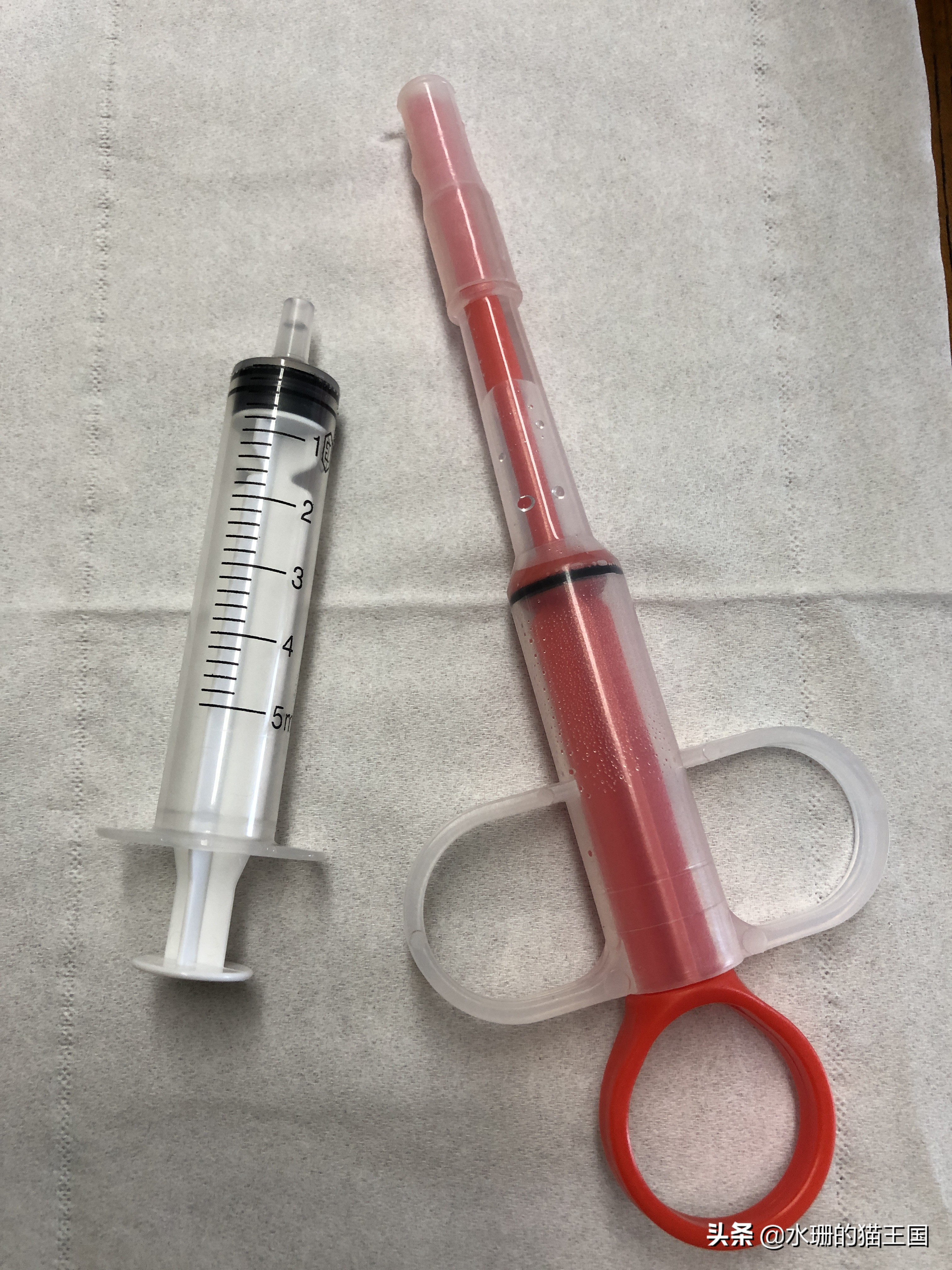 猫咪吃药口吐白沫,还难吃的哭了,到底怎么给猫喂药?正解在此