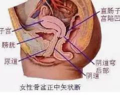 尿频尿急老是治不好该怎么办,尿频尿急反反复复是什么原因