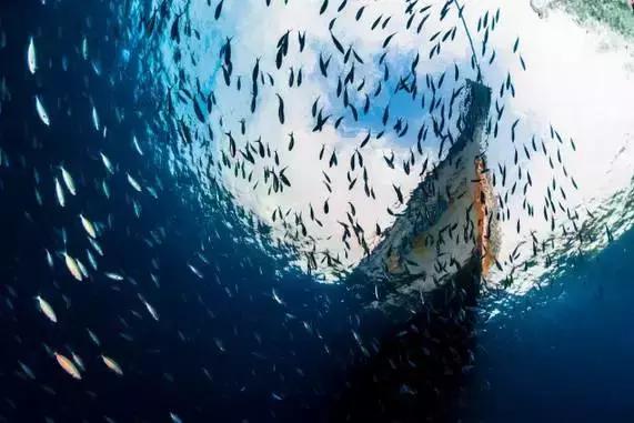 全球惊艳的10个海底世界，看到第一个就想出发！