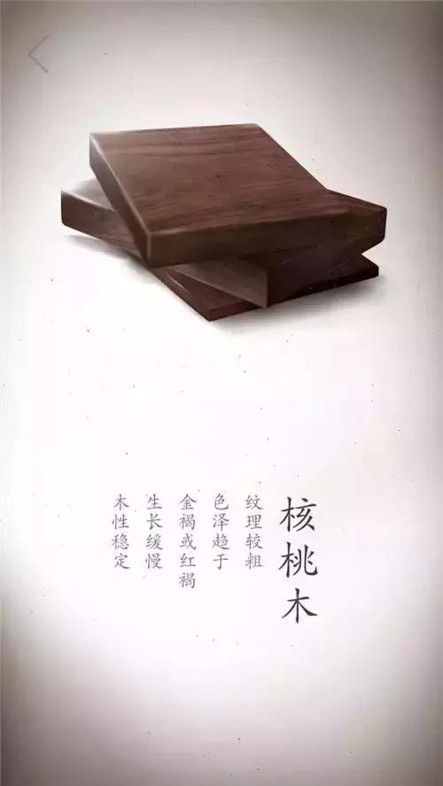 盘点木头！珍贵木材高清写真集