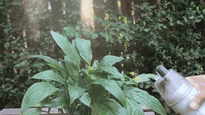 特别热夏天降暑神器,最新夏日降暑神器