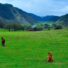 探寻秘境重庆武隆一日游,武隆的世外桃源
