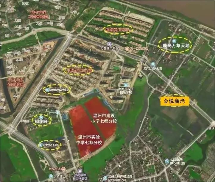 从幼儿班到初中,温州七都岛集齐12年全龄段名校,逆袭的前奏?