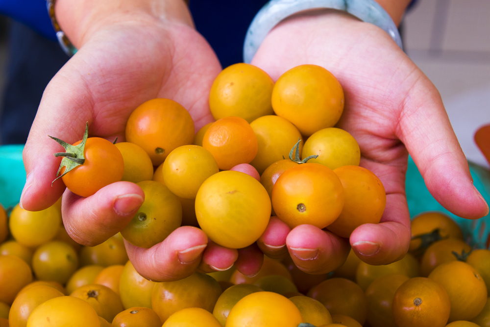 #毕业旅行啦#石家庄慧灯庄园，夏日里寓教于乐爽歪歪