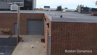 那个UC伯克利弹跳机器人可以蹦到户外玩耍了!还是靠那一条腿