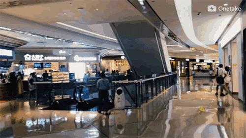 六一成都好去处,六一儿童节带娃出游成都