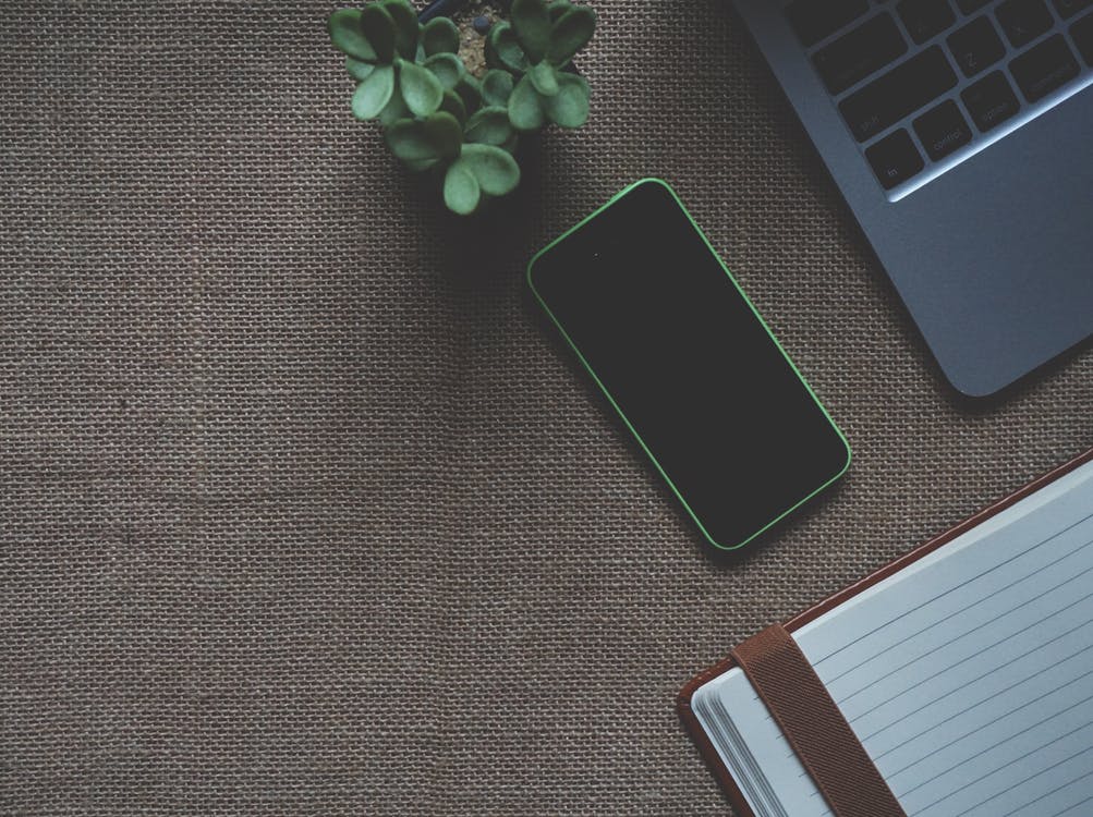 闲鱼的违禁词是什么,闲鱼盗版课为什么那么多