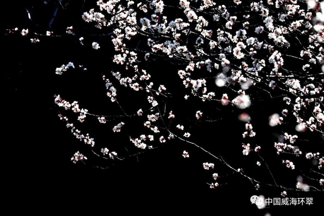 环翠景色,环翠美景