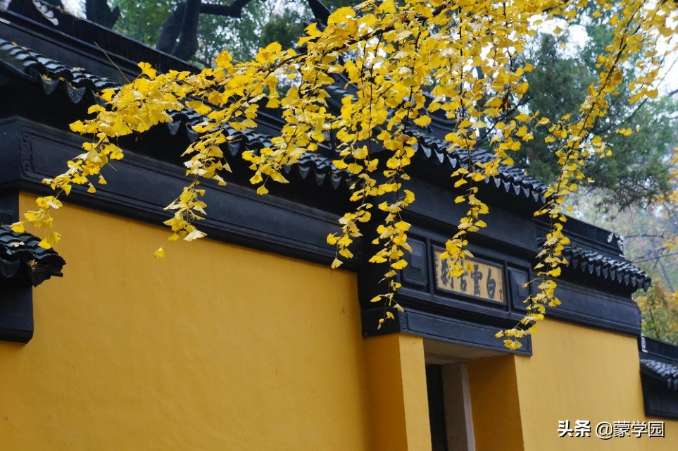 形容武夷山风景优美的成语,形容有山有水风景秀丽的成语