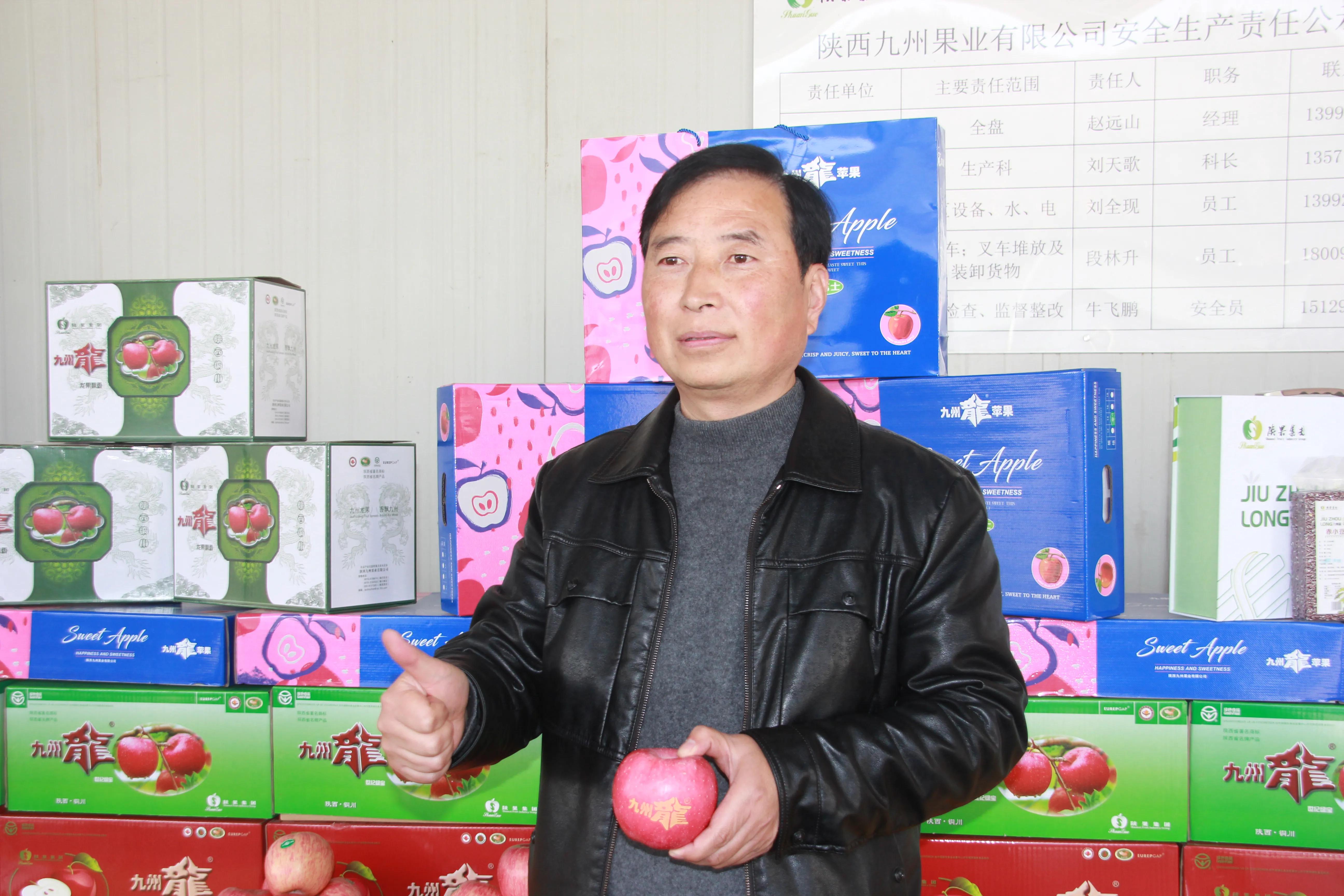 陕西铜川果品,铜川印台镇果业