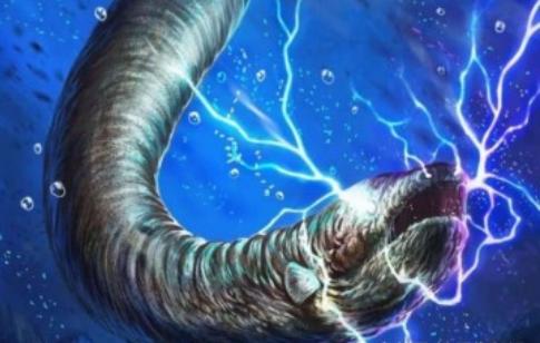 史前电鳗能放出多少电,为什么说电鳗灭绝了