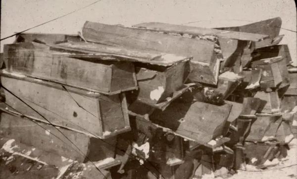 伍连德防治鼠疫为何成功,伍连德抗鼠疫共几年