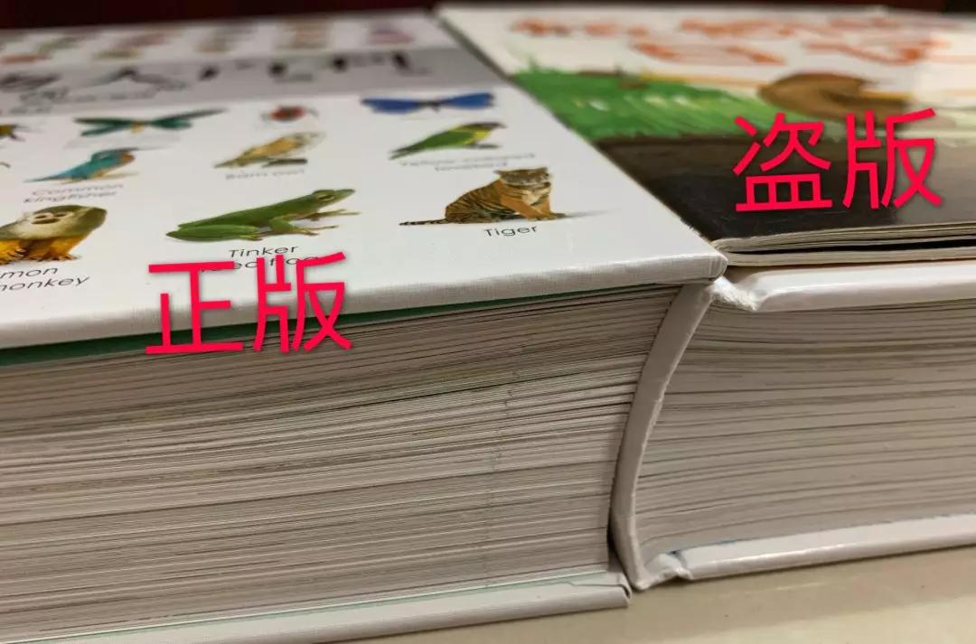 买到了盗版的书怎么办,买到盗版书了该怎么办