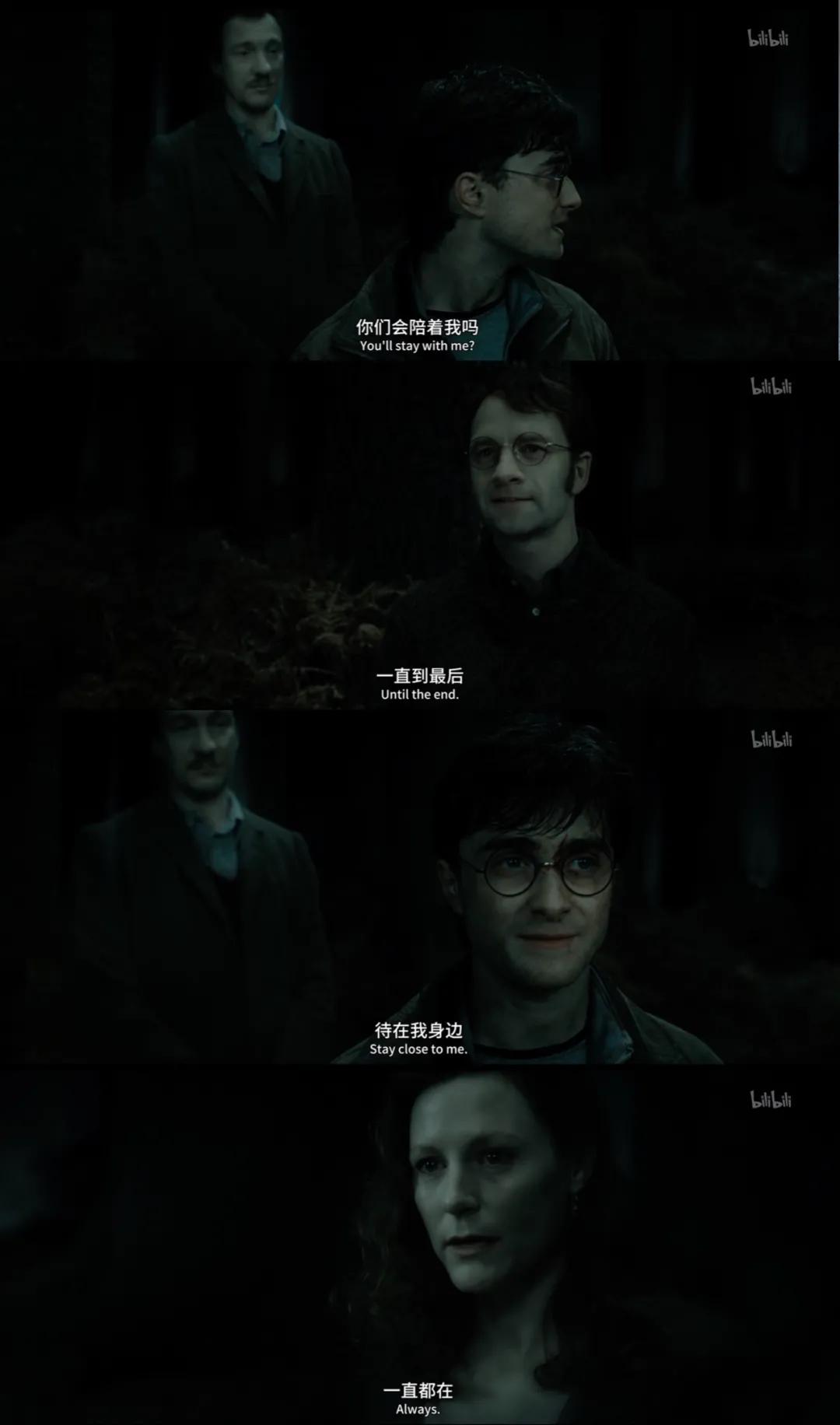 哈利波特的一生,哈利波特人物一生回忆录