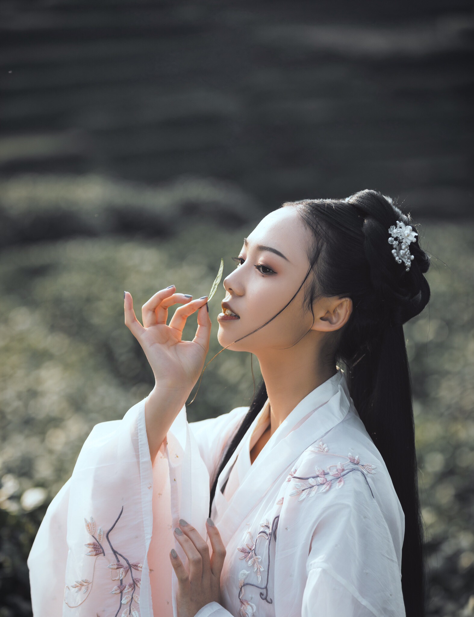 春日偶成程颢古诗速记,程颢春日偶成古诗视频