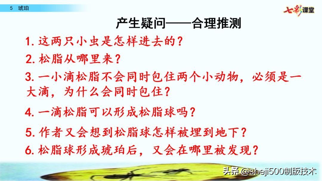 四年级语文下册第5课琥珀知识点,语文书四年级下册琥珀预习分段