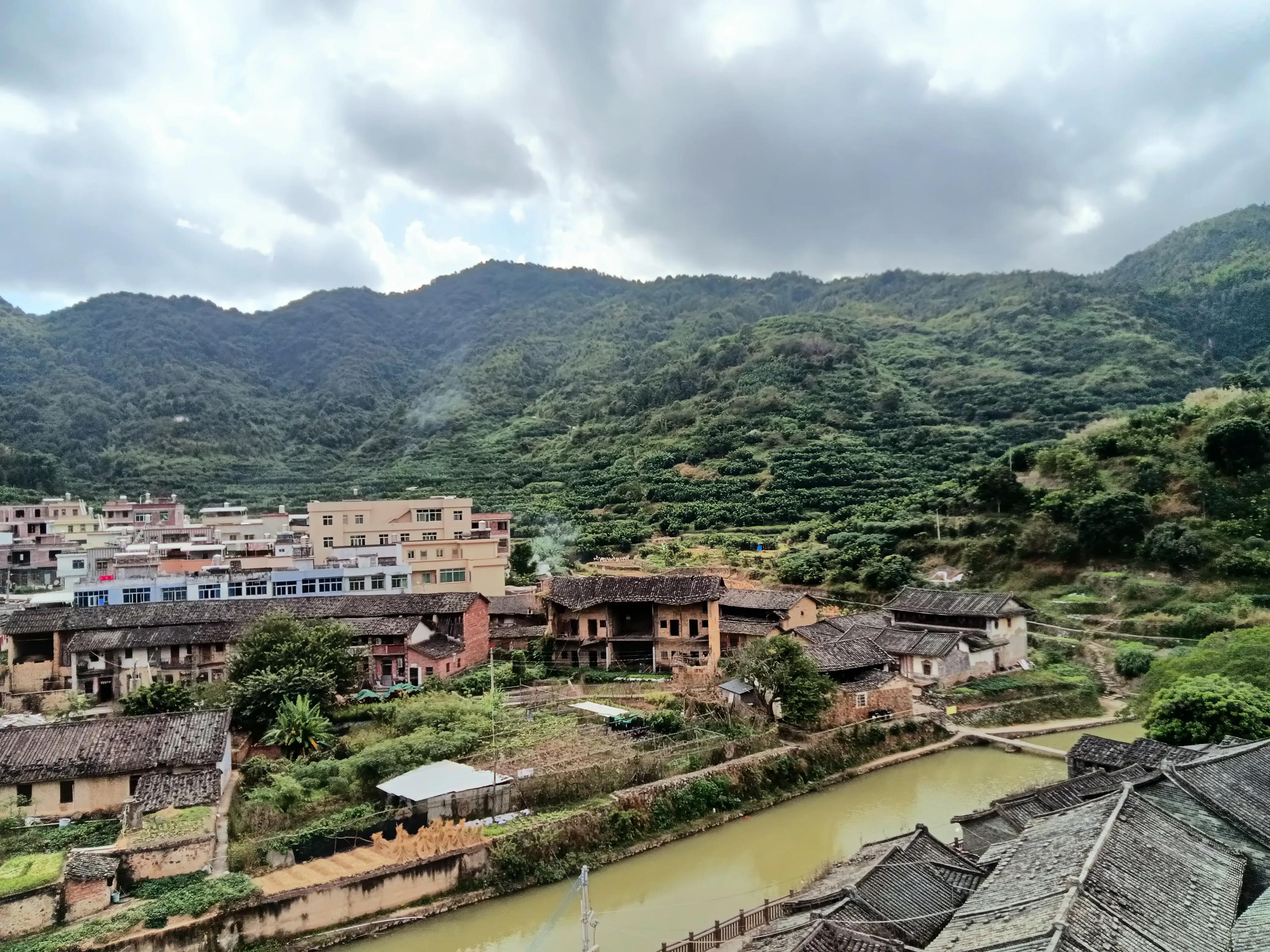 饶平三饶四方塘老榕树在哪里,榕树爷爷是合唱还是独唱