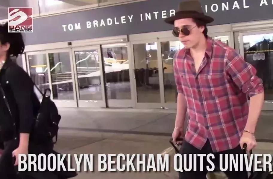 什么叫虎父有犬子,虎父犬子是谁的儿子