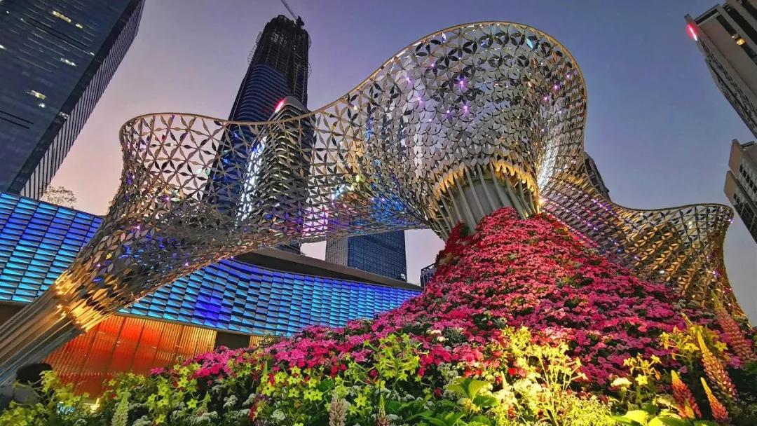 理论中心组进行集体学习,理论学习中心组集体学习计划