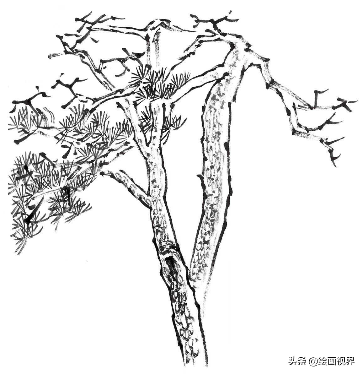 国画双钩树的画法入门,国画杂树与山石的画法图片
