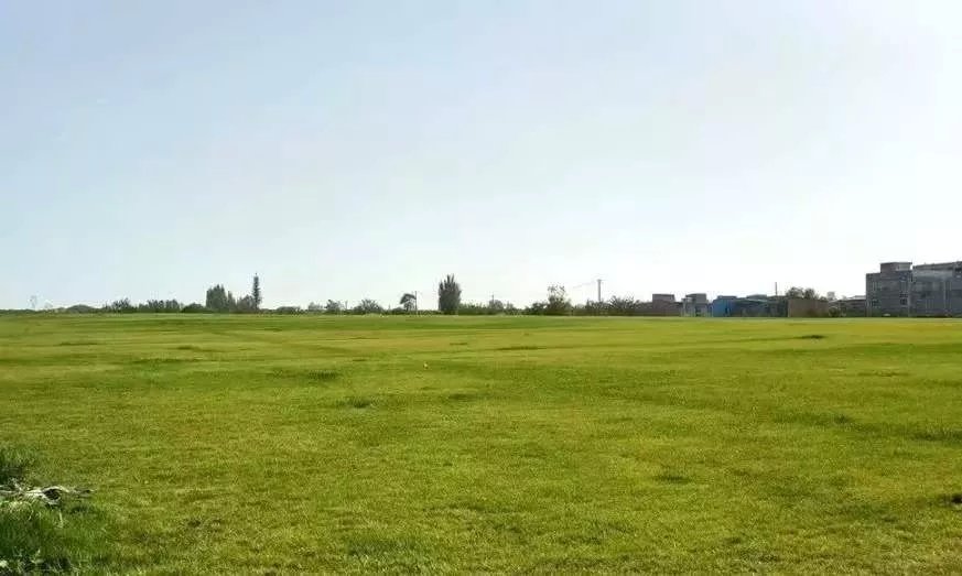 城南即将开放的公园,公园五一开放