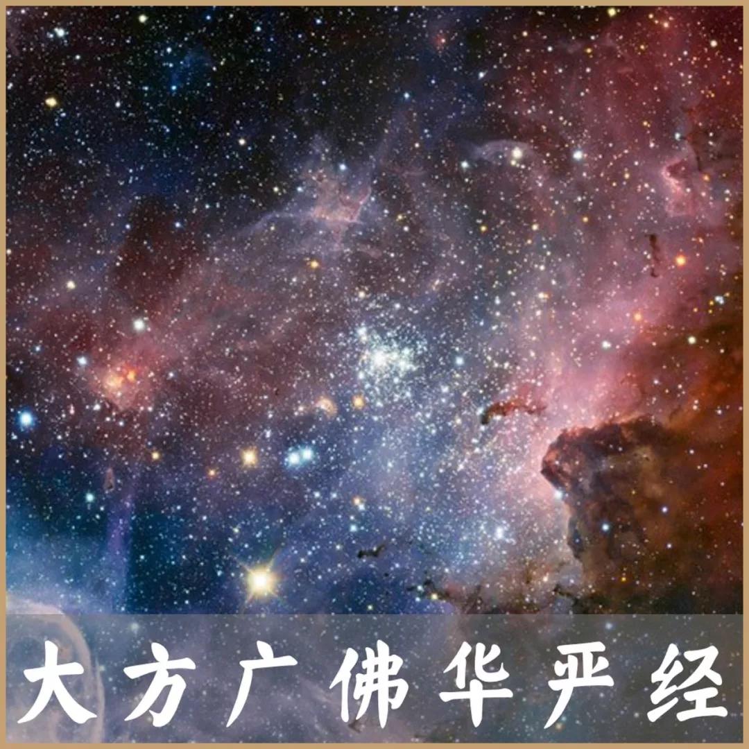 这种境界，就是如来自在神通力所成就的|大方广佛华严经浅释