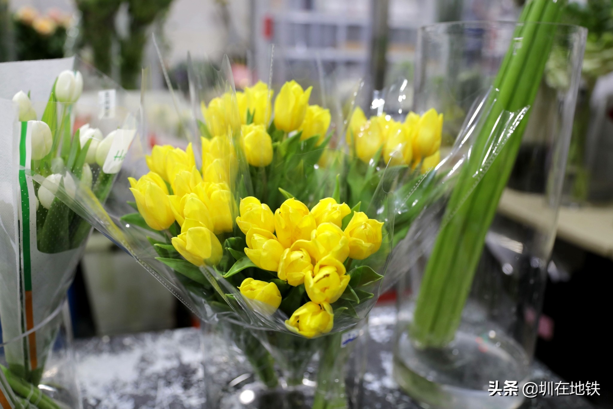 乘坐地铁到滘口花卉市场,从地铁到花卉市场